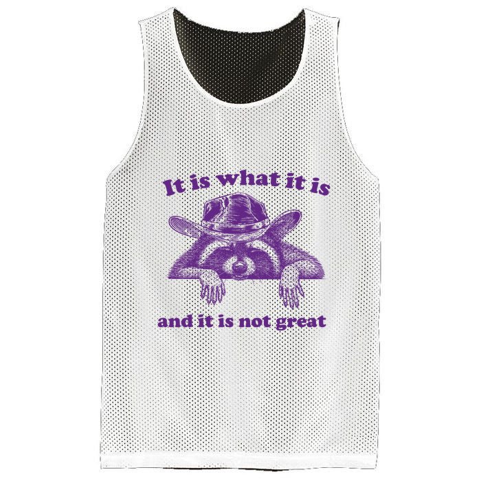 It Is What It Is And It Is Not Great Racoon Meme Mesh Reversible Basketball Jersey Tank