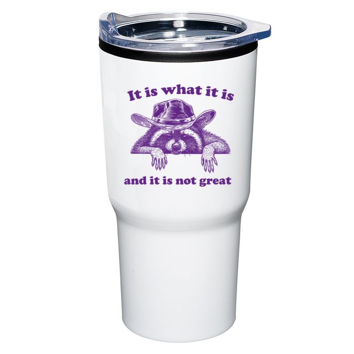 It Is What It Is And It Is Not Great Racoon Meme Tumbler