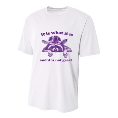 It Is What It Is And It Is Not Great Racoon Meme Youth Performance Sprint T-Shirt