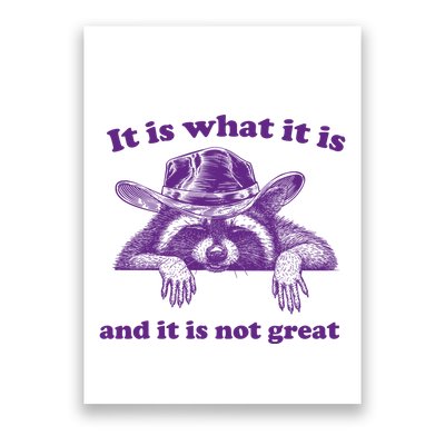 It Is What It Is And It Is Not Great Racoon Meme Poster