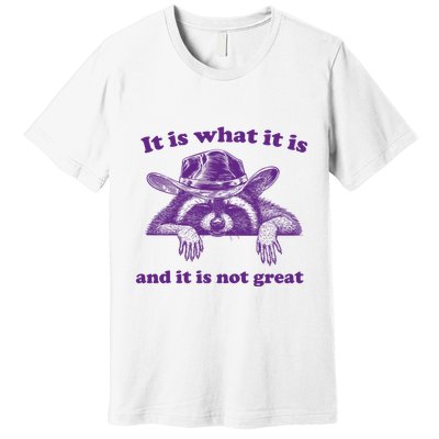 It Is What It Is And It Is Not Great Racoon Meme Premium T-Shirt