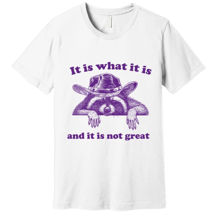 It Is What It Is And It Is Not Great Racoon Meme Premium T-Shirt