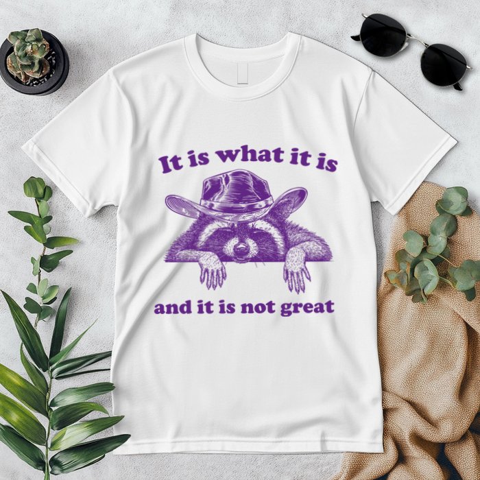 It Is What It Is And It Is Not Great Racoon Meme Premium T-Shirt