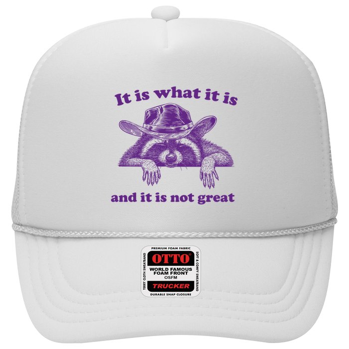 It Is What It Is And It Is Not Great Racoon Meme Trucker Hat