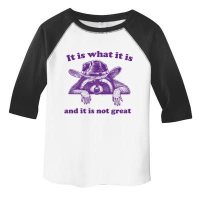 It Is What It Is And It Is Not Great Racoon Meme Toddler Fine Jersey T-Shirt
