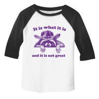 It Is What It Is And It Is Not Great Racoon Meme Toddler Fine Jersey T-Shirt