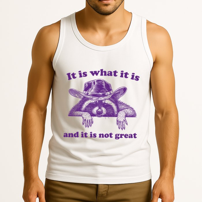 It Is What It Is And It Is Not Great Racoon Meme Tank Top