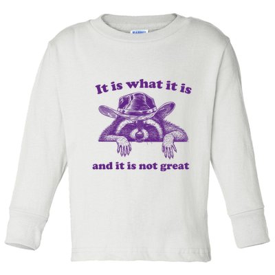 It Is What It Is And It Is Not Great Racoon Meme Toddler Long Sleeve Shirt