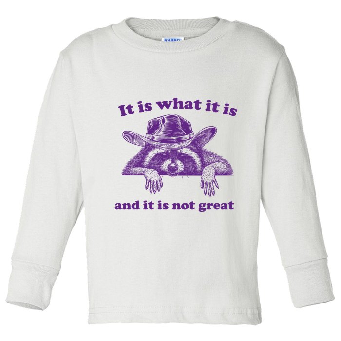 It Is What It Is And It Is Not Great Racoon Meme Toddler Long Sleeve Shirt