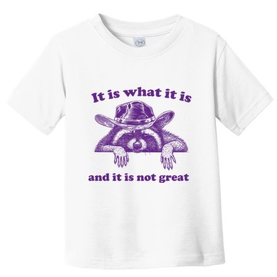 It Is What It Is And It Is Not Great Racoon Meme Toddler T-Shirt