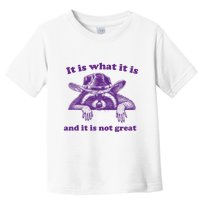 It Is What It Is And It Is Not Great Racoon Meme Toddler T-Shirt