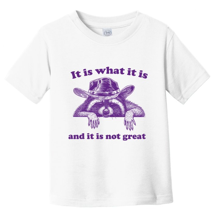 It Is What It Is And It Is Not Great Racoon Meme Toddler T-Shirt