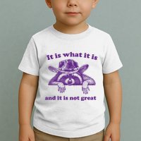 It Is What It Is And It Is Not Great Racoon Meme Toddler T-Shirt