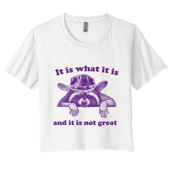It Is What It Is And It Is Not Great Racoon Meme Crop Top