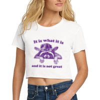 It Is What It Is And It Is Not Great Racoon Meme Crop Top