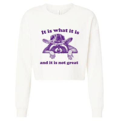 It Is What It Is And It Is Not Great Racoon Meme Cropped Pullover Crew