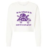 It Is What It Is And It Is Not Great Racoon Meme Cropped Pullover Crew