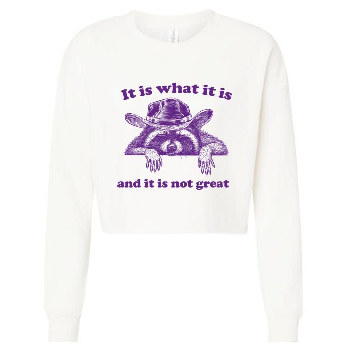 It Is What It Is And It Is Not Great Racoon Meme Cropped Pullover Crew