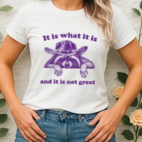 It Is What It Is And It Is Not Great Racoon Meme Womens T-Shirt