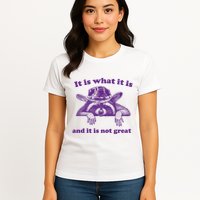It Is What It Is And It Is Not Great Racoon Meme Womens T-Shirt