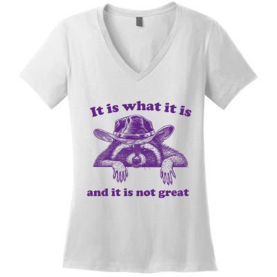 It Is What It Is And It Is Not Great Racoon Meme Women's V-Neck T-Shirt