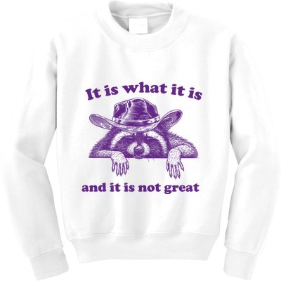 It Is What It Is And It Is Not Great Racoon Meme Kids Sweatshirt