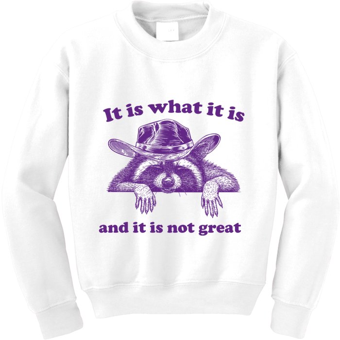 It Is What It Is And It Is Not Great Racoon Meme Kids Sweatshirt