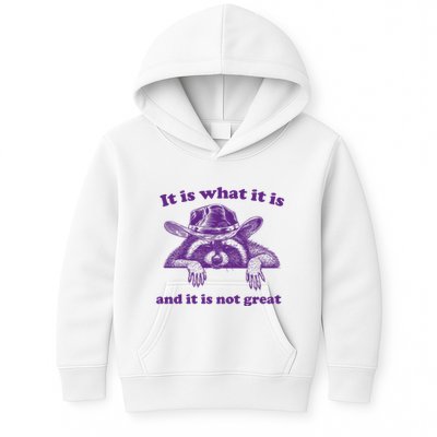 It Is What It Is And It Is Not Great Racoon Meme Kids Hoodie