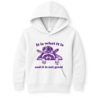 It Is What It Is And It Is Not Great Racoon Meme Kids Hoodie