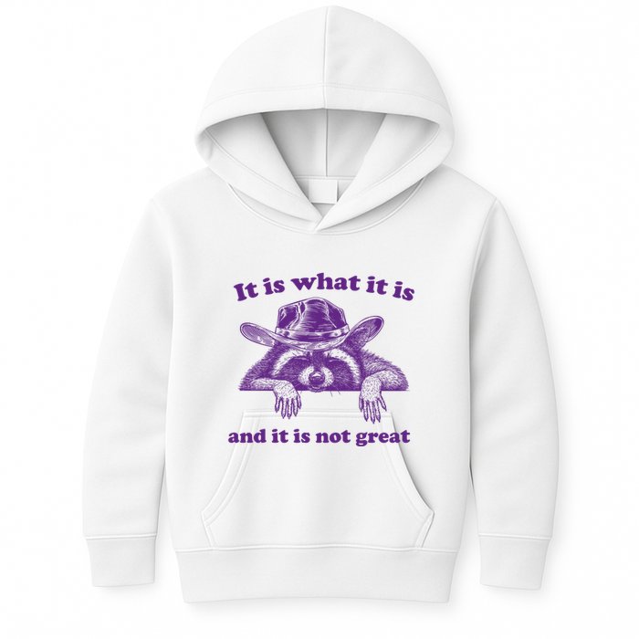 It Is What It Is And It Is Not Great Racoon Meme Kids Hoodie