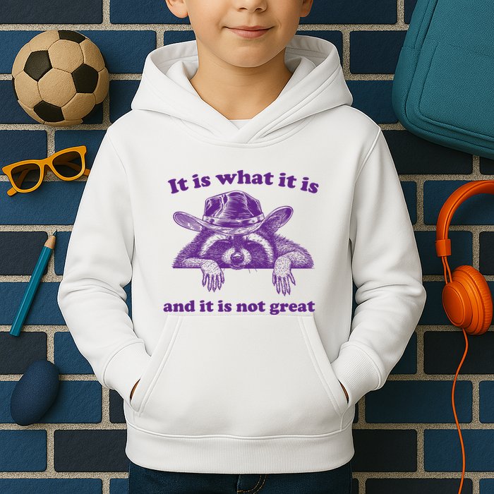 It Is What It Is And It Is Not Great Racoon Meme Kids Hoodie