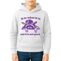 It Is What It Is And It Is Not Great Racoon Meme Kids Hoodie