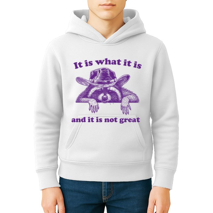 It Is What It Is And It Is Not Great Racoon Meme Kids Hoodie