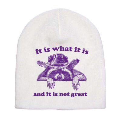 It Is What It Is And It Is Not Great Racoon Meme Short Acrylic Beanie