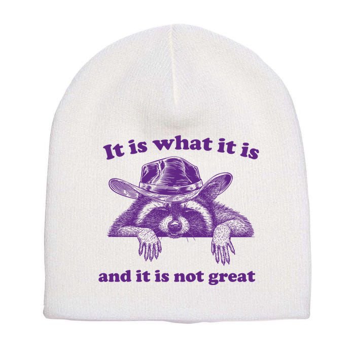 It Is What It Is And It Is Not Great Racoon Meme Short Acrylic Beanie