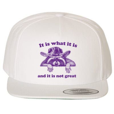 It Is What It Is And It Is Not Great Racoon Meme Wool Snapback Cap