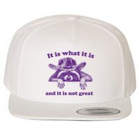 It Is What It Is And It Is Not Great Racoon Meme Wool Snapback Cap