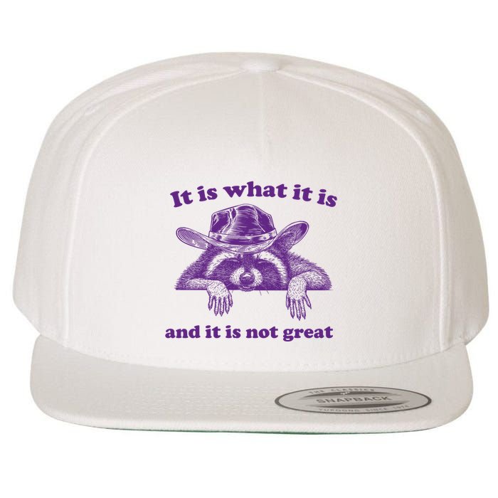 It Is What It Is And It Is Not Great Racoon Meme Wool Snapback Cap
