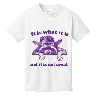 It Is What It Is And It Is Not Great Racoon Meme Kids T-Shirt