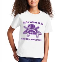It Is What It Is And It Is Not Great Racoon Meme Kids T-Shirt