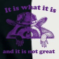 It Is What It Is And It Is Not Great Racoon Meme Infant Baby Jersey Bodysuit