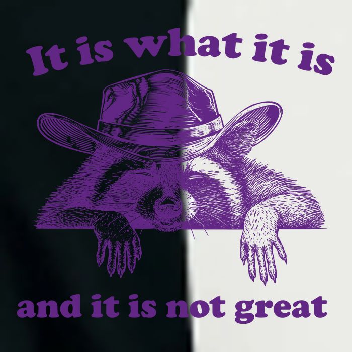 It Is What It Is And It Is Not Great Racoon Meme Infant Baby Jersey Bodysuit