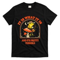 It Is What It Is And ItS Pretty Terrible T-Shirt