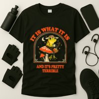 It Is What It Is And ItS Pretty Terrible T-Shirt