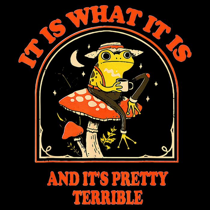 It Is What It Is And ItS Pretty Terrible T-Shirt