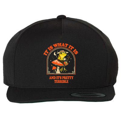 It Is What It Is And ItS Pretty Terrible Wool Snapback Cap