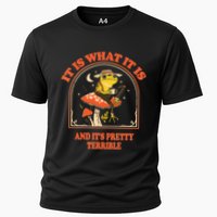 It Is What It Is And Its Pretty Terrible Cooling Performance Crew T-Shirt