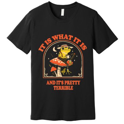 It Is What It Is And Its Pretty Terrible Premium T-Shirt