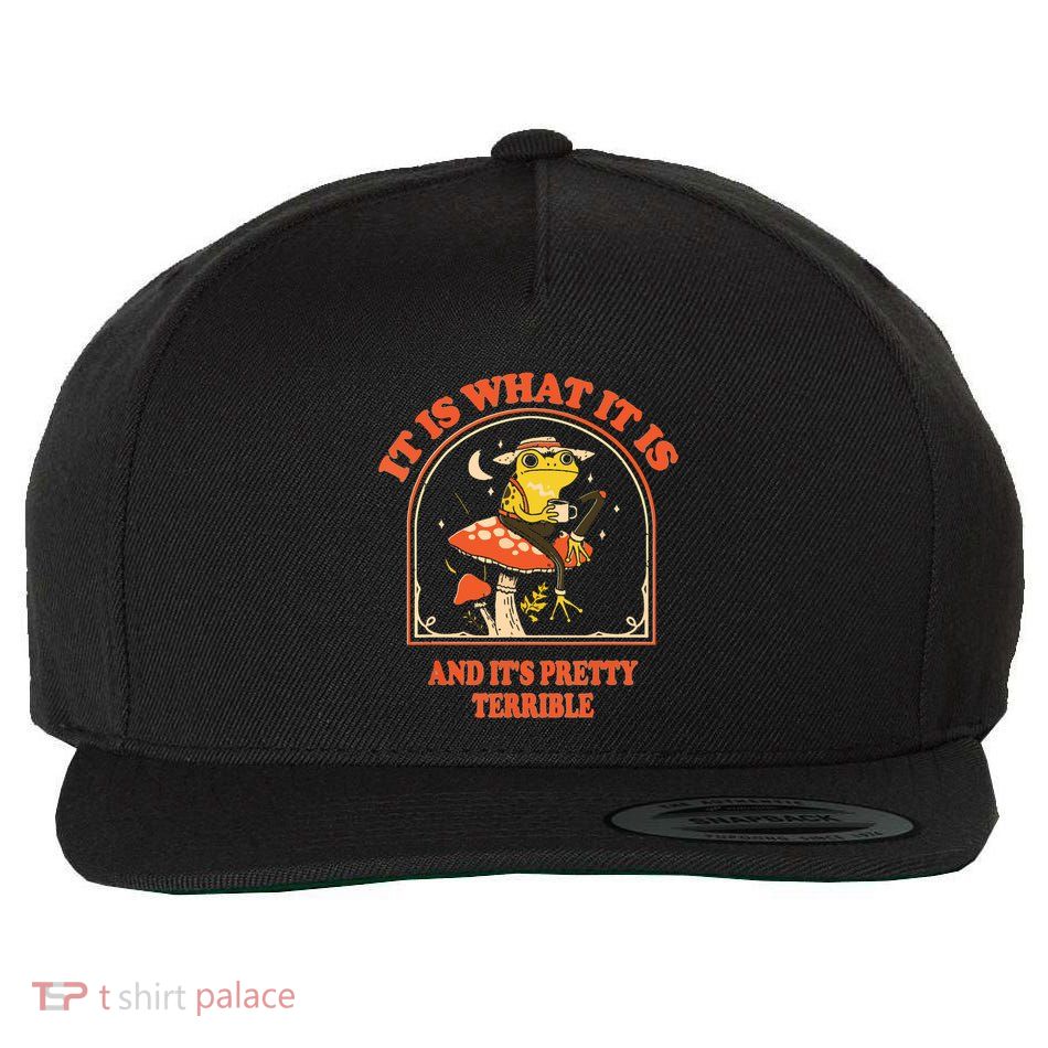 It Is What It Is And Its Pretty Terrible Wool Snapback Cap