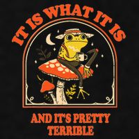 It Is What It Is And ItS Pretty Terrible Funny Design Ladies PosiCharge Tri-Blend Wicking Tank